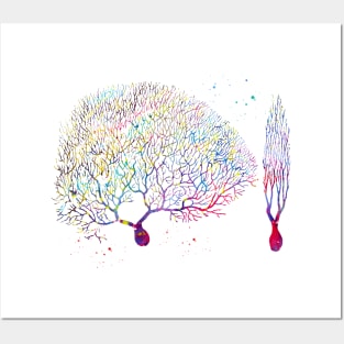 Purkinje Neuron Posters and Art